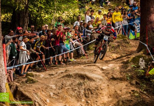 Downhill a Daolasa in Val di Sole - 7