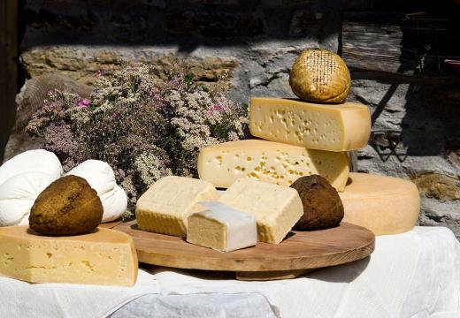 Degustazioni dei prodotti di Malga in Val di Rabbi