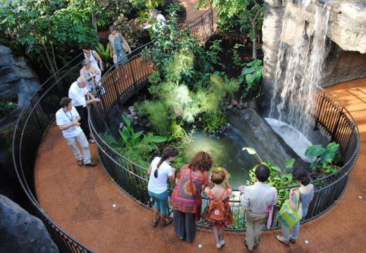 Il giardino tropicale del Muse di Trento