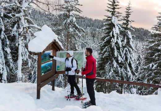 Racchette da neve in Val di Sole