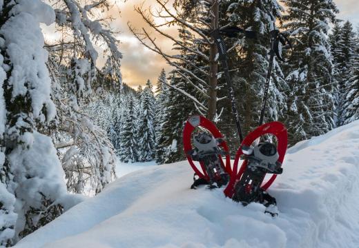 Percorsi con le ciaspole in Val di Rabbi