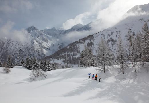 Escursioni con le ciaspole in Val di Rabbi