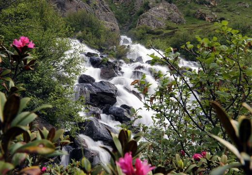 Ruscelli di montagna nel Parco Nazionale dello Stelvio