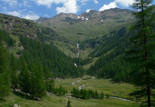 Vallata del Parco Nazionale dello Stelvio