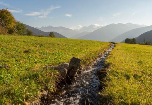 Pendii del Parco Nazionale dello Stelvio