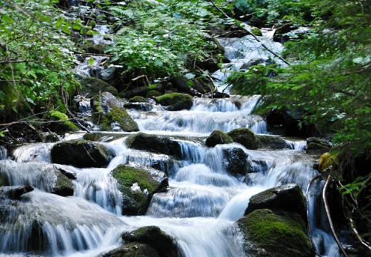 Ruscelli e corsi d'acqua